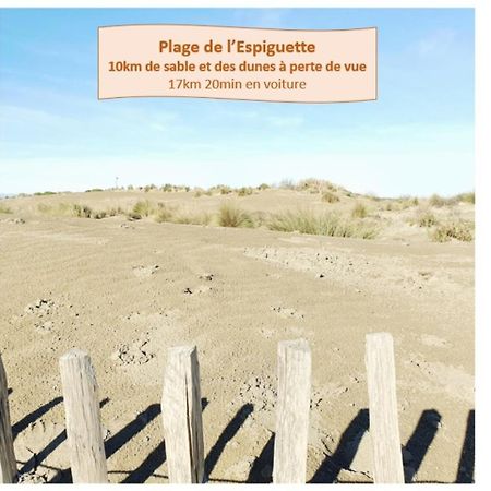Suite Thalassa 1Ere Ligne Plages Du Couchant Wifi - Rossiconciergerie - Linge Inclus Ла-Гранд-Мот Экстерьер фото
