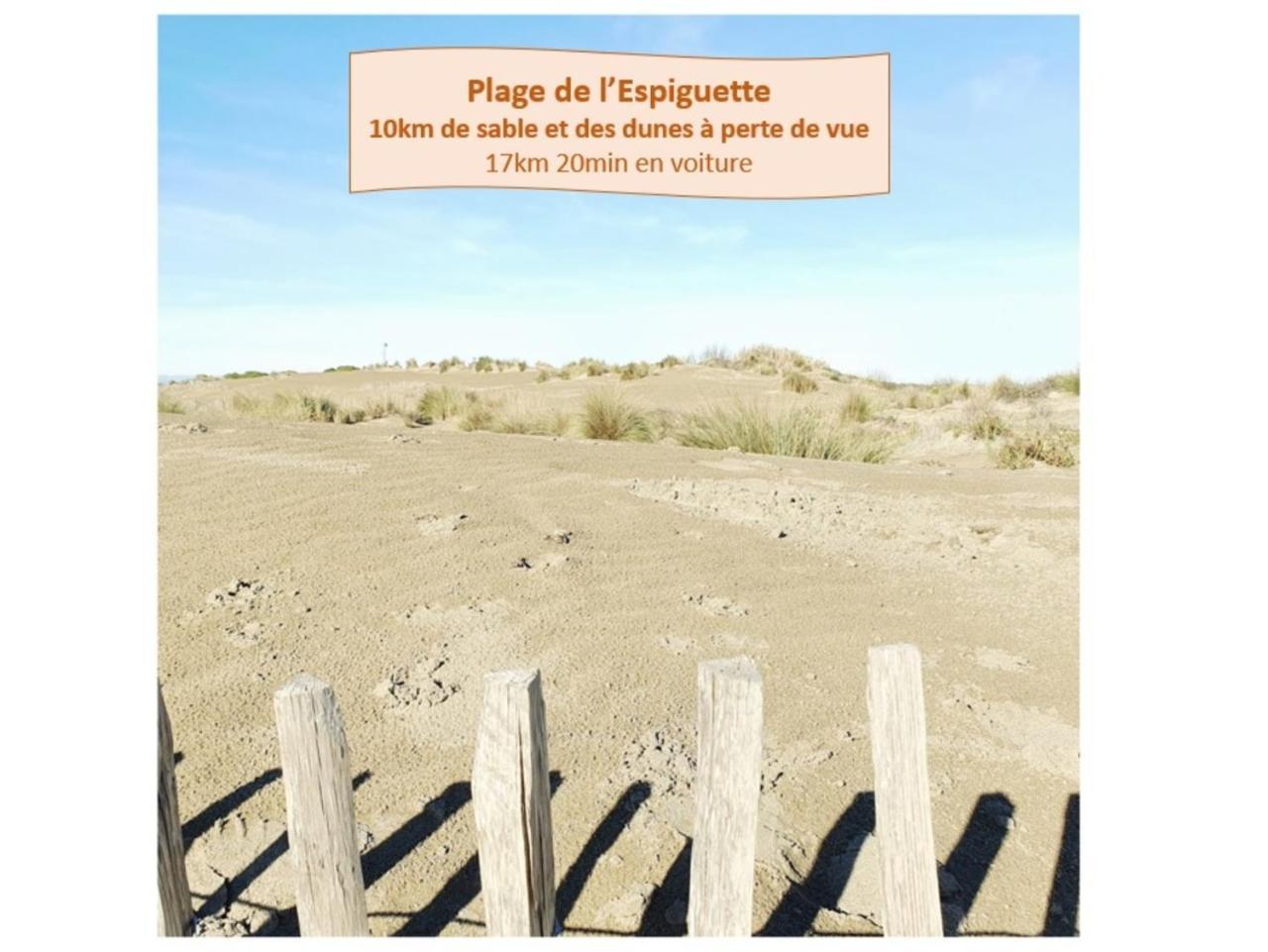 Suite Thalassa 1Ere Ligne Plages Du Couchant Wifi - Rossiconciergerie - Linge Inclus Ла-Гранд-Мот Экстерьер фото