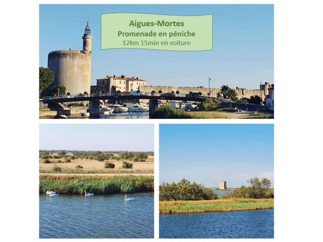 Suite Thalassa 1Ere Ligne Plages Du Couchant Wifi - Rossiconciergerie - Linge Inclus Ла-Гранд-Мот Экстерьер фото